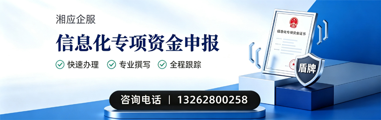 成都信息化专项资金申报服务