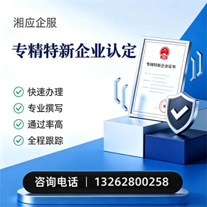 成都专精特新企业申报服务