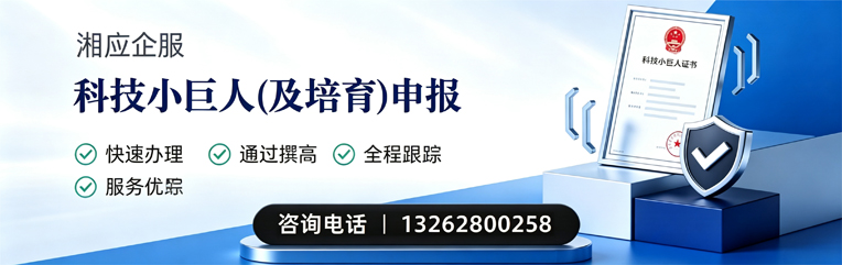 成都科技小巨人及培育企业申报服务