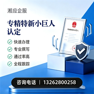 成都专精特新小巨人申报服务