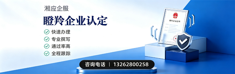 成都瞪羚企业认定申报服务