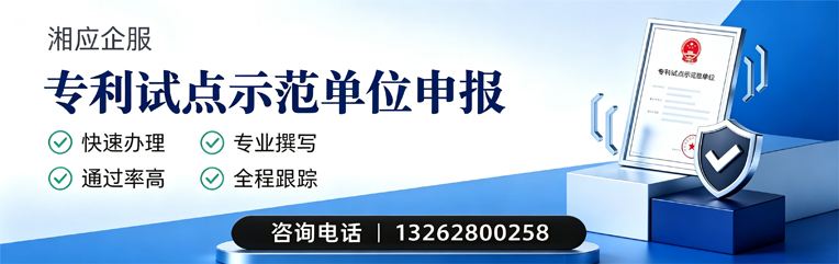 成都专利试点示范单位申报服务