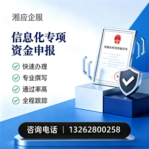 成都信息化专项资金申报服务