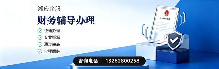 成都财务辅导申请服务