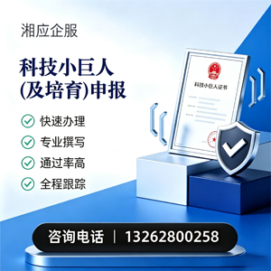 成都科技小巨人及培育企业申报服务