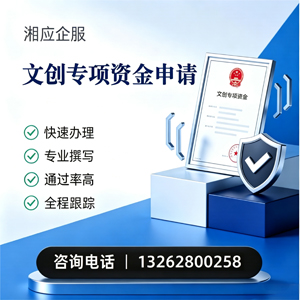 成都文创专项资金申报服务