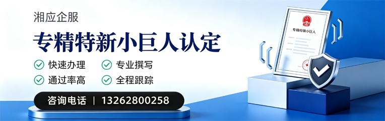 成都专精特新小巨人申报服务
